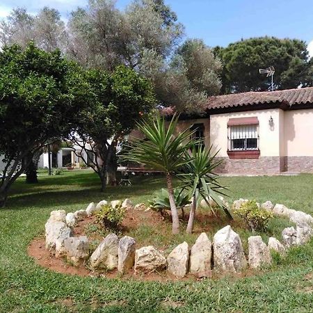 Chalet En La Barrosa, Piscina+Bbq+Grifo De Cerveza 치클라나 데 라 프론테라 외부 사진